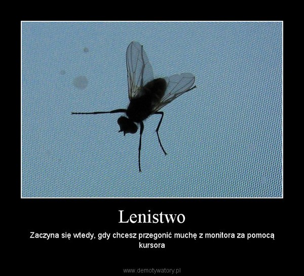Lenistwo – Zaczyna się wtedy, gdy chcesz przegonić muchę z monitora za pomocą kursora 