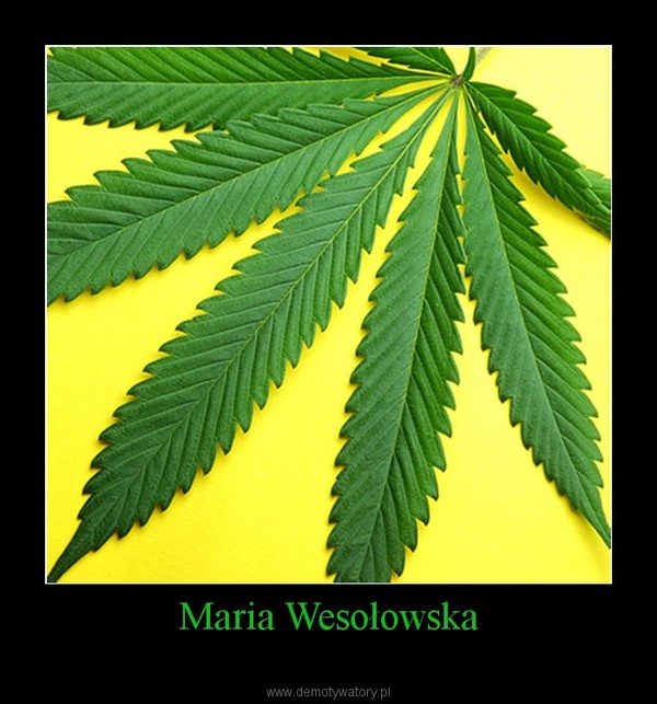 Maria Wesołowska –   