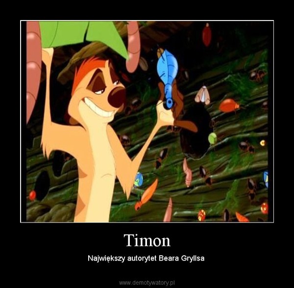 Timon – Największy autorytet Beara Gryllsa  