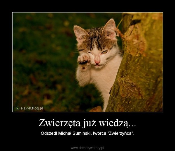 Zwierzęta już wiedzą... – Odszedł Michał Sumiński, twórca "Zwierzyńca". 