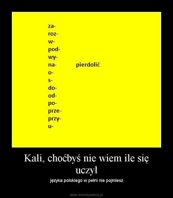 Kali, choćbyś nie wiem ile się uczył – języka polskiego w pełni nie pojmiesz 