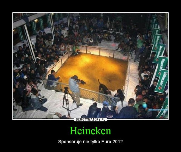 Heineken – Sponsoruje nie tylko Euro 2012 