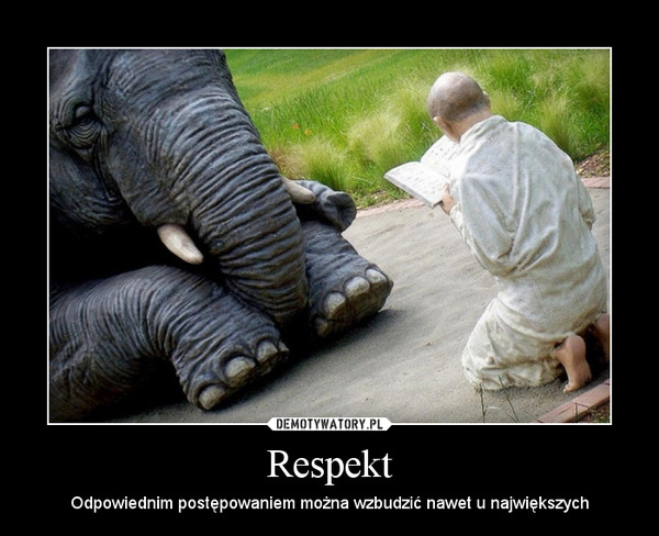 Respekt – Odpowiednim postępowaniem można wzbudzić nawet u największych 