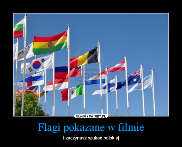Flagi pokazane w filmie – i zaczynasz szukać polskiej 