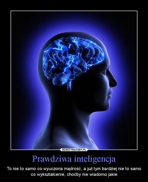 Prawdziwa inteligencja – To nie to samo co wyuczona mądrość, a już tym bardziej nie to samo co wykształcenie, choćby nie wiadomo jakie 