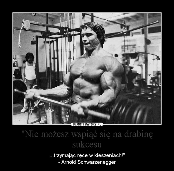 "Nie możesz wspiąć się na drabinę sukcesu – ...trzymając ręce w kieszeniach!"- Arnold Schwarzenegger 