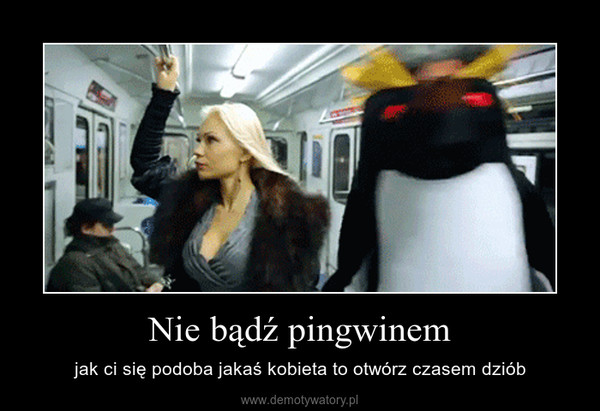 Nie bądź pingwinem – jak ci się podoba jakaś kobieta to otwórz czasem dziób 