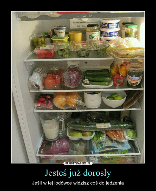 Jesteś już dorosły – Jeśli w tej lodówce widzisz coś do jedzenia 