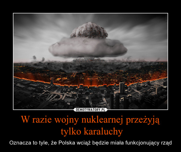 W razie wojny nuklearnej przeżyją tylko karaluchy – Oznacza to tyle, że Polska wciąż będzie miała funkcjonujący rząd 