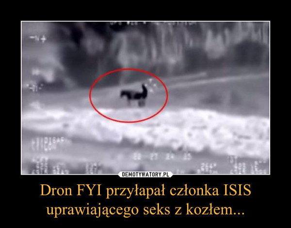 Dron FYI przyłapał członka ISIS uprawiającego seks z kozłem... –  