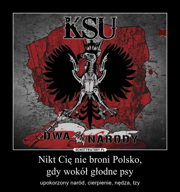 Nikt Cię nie broni Polsko,gdy wokół głodne psy – upokorzony naród, cierpienie, nędza, łzy 
