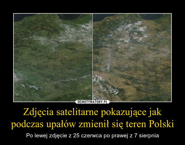 Zdjęcia satelitarne pokazujące jak podczas upałów zmienił się teren Polski – Po lewej zdjęcie z 25 czerwca po prawej z 7 sierpnia 