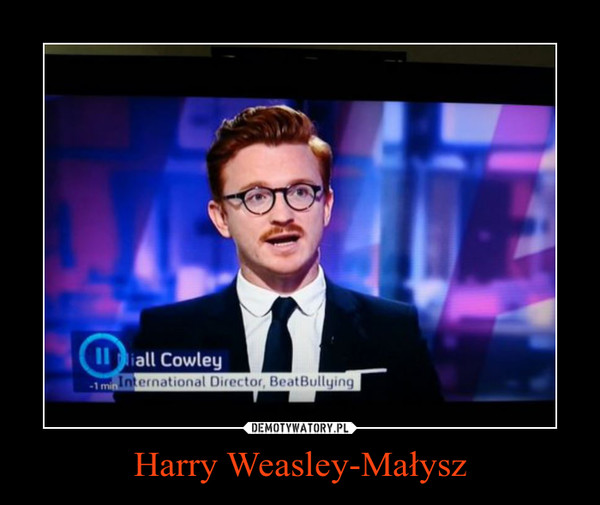 Harry Weasley-Małysz –  