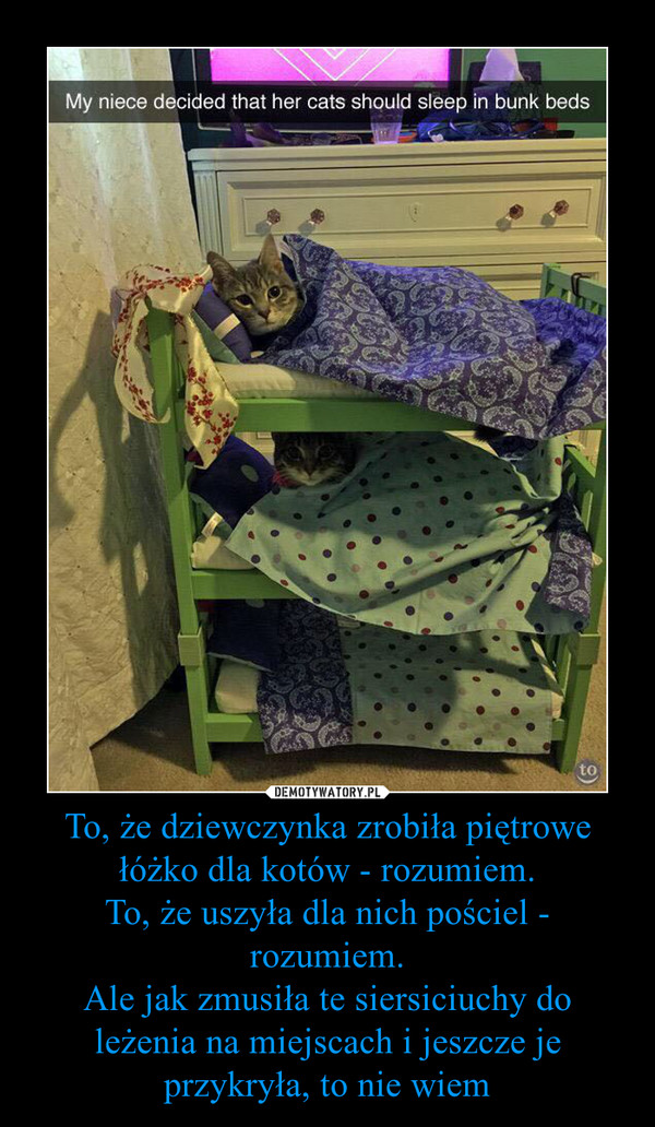 To, że dziewczynka zrobiła piętrowe łóżko dla kotów - rozumiem.
To, że uszyła dla nich pościel - rozumiem.
Ale jak zmusiła te siersiciuchy do leżenia na miejscach i jeszcze je przykryła, to nie wiem