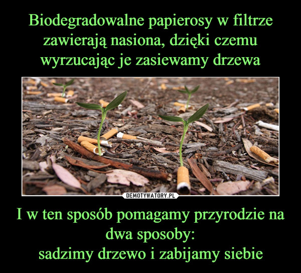 Biodegradowalne papierosy w filtrze zawierają nasiona, dzięki czemu wyrzucając je zasiewamy drzewa I w ten sposób pomagamy przyrodzie na dwa sposoby:
sadzimy drzewo i zabijamy siebie