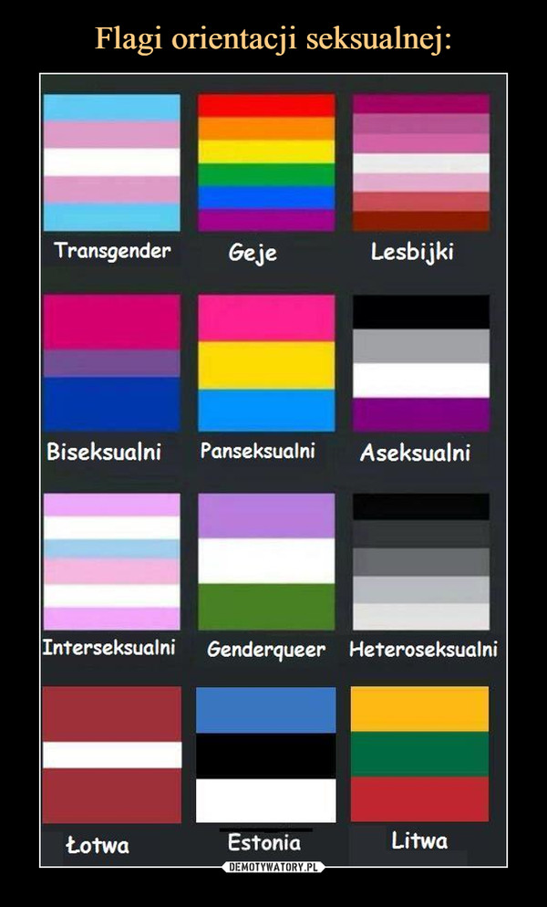 Flagi orientacji seksualnej: