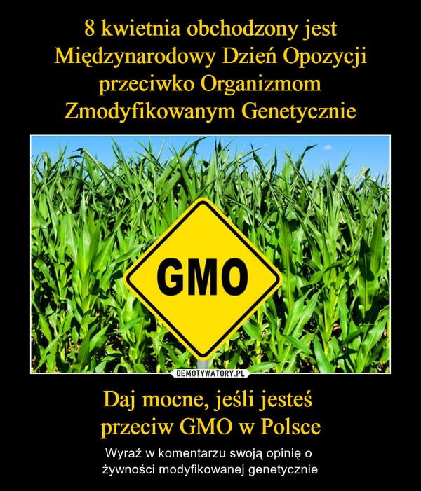 Daj mocne, jeśli jesteś przeciw GMO w Polsce – Wyraź w komentarzu swoją opinię o żywności modyfikowanej genetycznie GMO