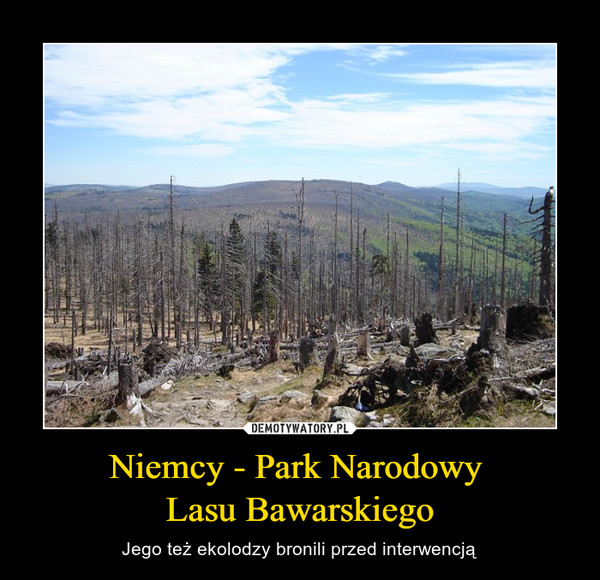Niemcy - Park Narodowy Lasu Bawarskiego – Jego też ekolodzy bronili przed interwencją 