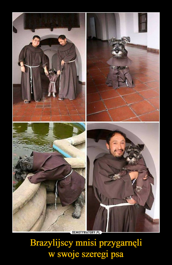 Brazylijscy mnisi przygarnęliw swoje szeregi psa –  