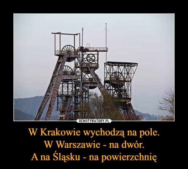 W Krakowie wychodzą na pole.W Warszawie - na dwór.A na Śląsku - na powierzchnię –  