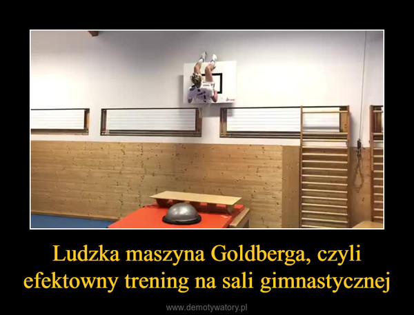 Ludzka maszyna Goldberga, czyli efektowny trening na sali gimnastycznej –  