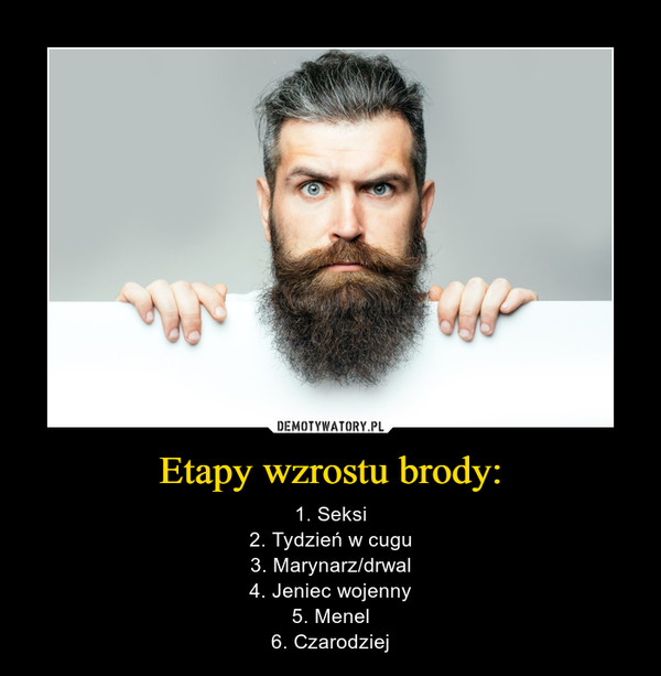 Etapy wzrostu brody: