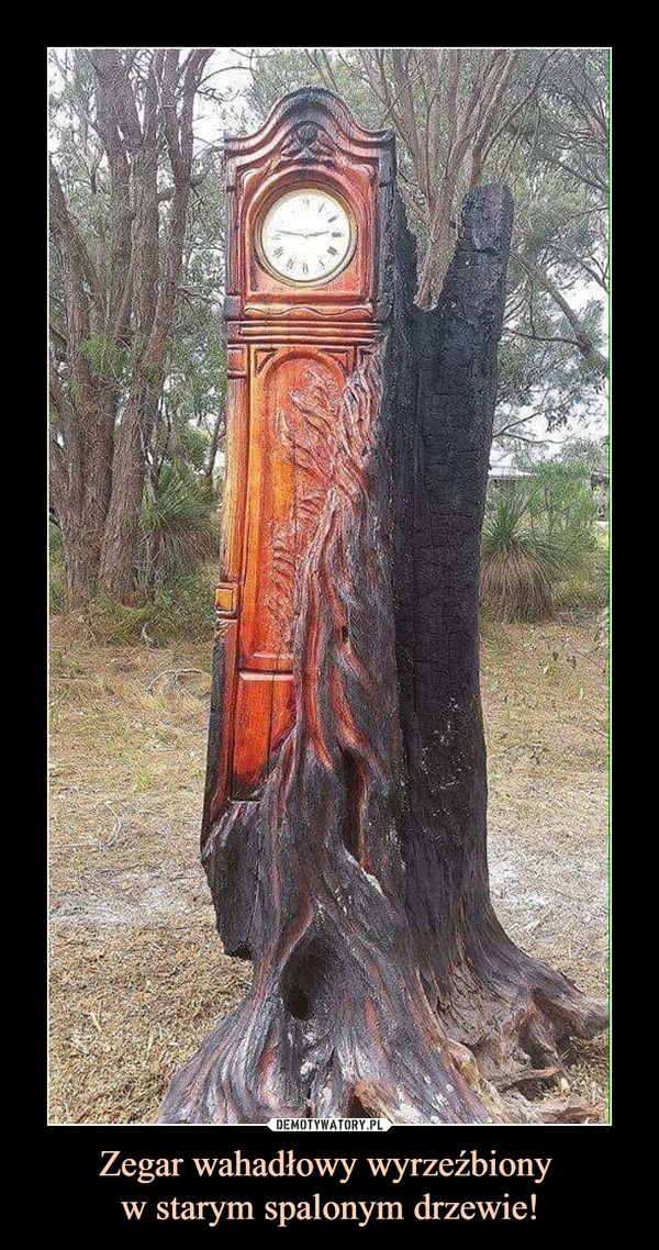 Zegar wahadłowy wyrzeźbiony 
w starym spalonym drzewie!