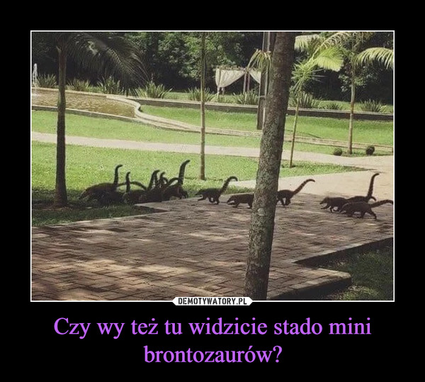 Czy wy też tu widzicie stado mini brontozaurów? –  