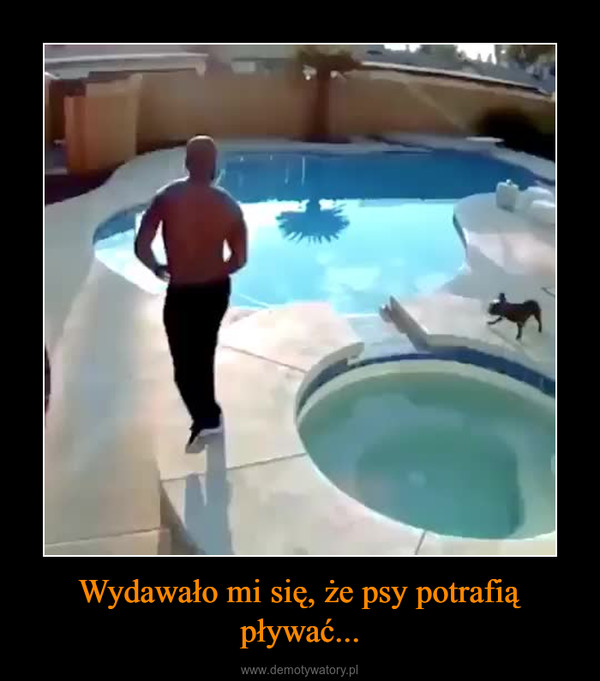 Wydawało mi się, że psy potrafią pływać... –  