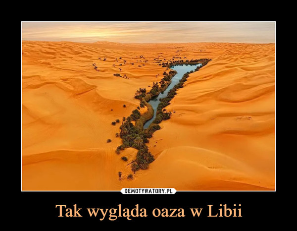 Tak wygląda oaza w Libii –  