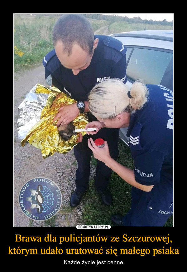 Brawa dla policjantów ze Szczurowej, którym udało uratować się małego psiaka – Każde życie jest cenne 