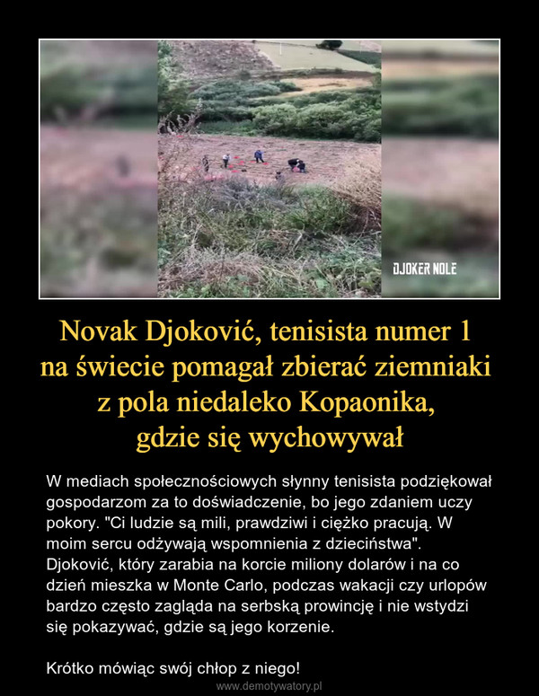 Novak Djoković, tenisista numer 1 na świecie pomagał zbierać ziemniaki z pola niedaleko Kopaonika, gdzie się wychowywał – W mediach społecznościowych słynny tenisista podziękował gospodarzom za to doświadczenie, bo jego zdaniem uczy pokory. "Ci ludzie są mili, prawdziwi i ciężko pracują. W moim sercu odżywają wspomnienia z dzieciństwa".  Djoković, który zarabia na korcie miliony dolarów i na co dzień mieszka w Monte Carlo, podczas wakacji czy urlopów bardzo często zagląda na serbską prowincję i nie wstydzi się pokazywać, gdzie są jego korzenie.Krótko mówiąc swój chłop z niego! 