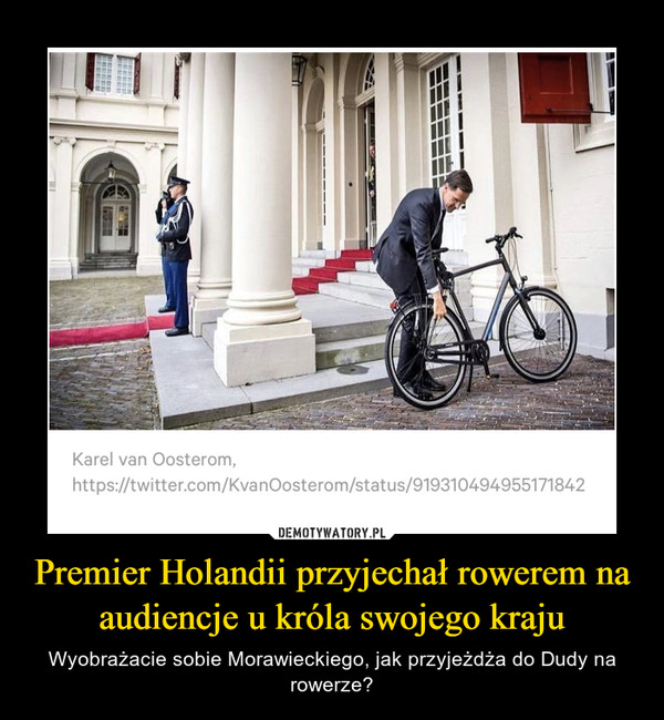 Premier Holandii przyjechał rowerem na audiencje u króla swojego kraju – Wyobrażacie sobie Morawieckiego, jak przyjeżdża do Dudy na rowerze? 