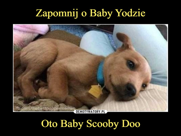 Zapomnij o Baby Yodzie Oto Baby Scooby Doo