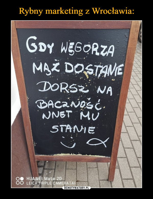 Rybny marketing z Wrocławia: