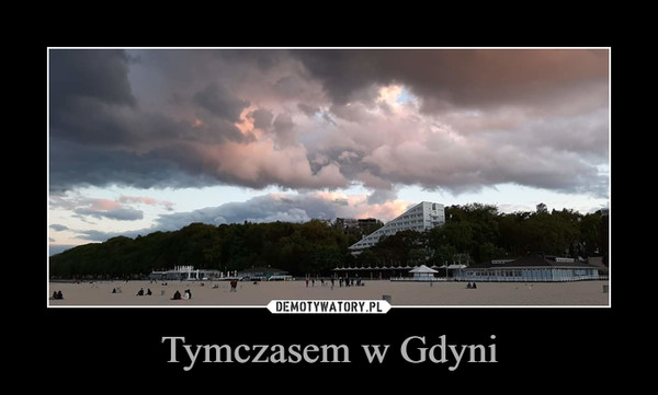 Tymczasem w Gdyni –  
