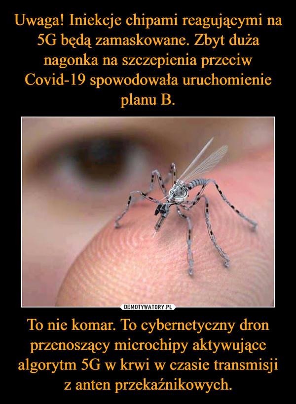 To nie komar. To cybernetyczny dron przenoszący microchipy aktywujące algorytm 5G w krwi w czasie transmisji z anten przekaźnikowych. –  