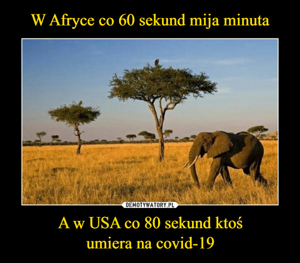 W Afryce co 60 sekund mija minuta A w USA co 80 sekund ktoś
umiera na covid-19
