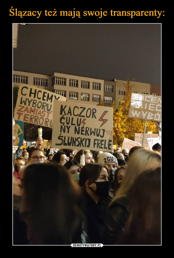 Ślązacy też mają swoje transparenty: