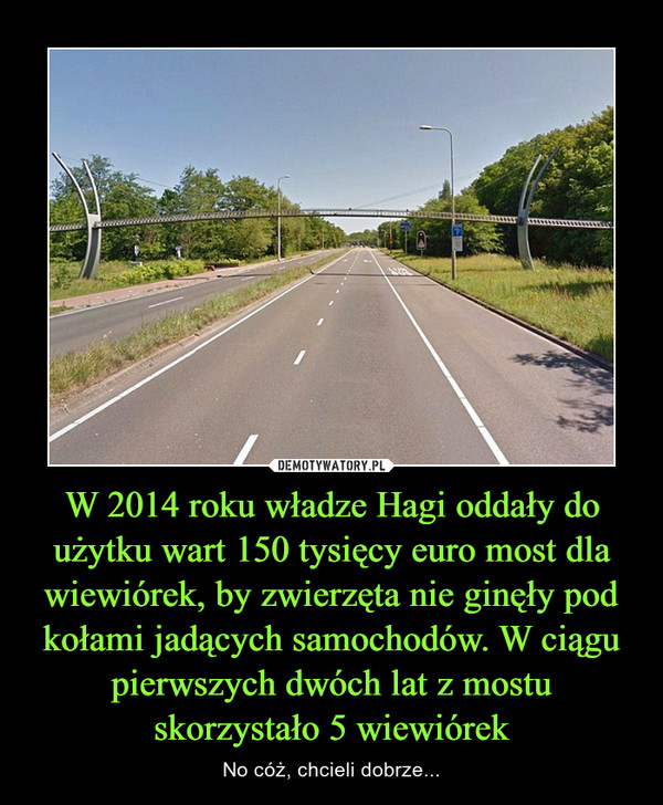 W 2014 roku władze Hagi oddały do użytku wart 150 tysięcy euro most dla wiewiórek, by zwierzęta nie ginęły pod kołami jadących samochodów. W ciągu pierwszych dwóch lat z mostu skorzystało 5 wiewiórek – No cóż, chcieli dobrze... 
