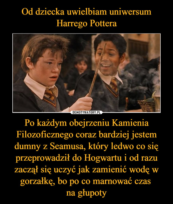 Od dziecka uwielbiam uniwersum Harrego Pottera Po każdym obejrzeniu Kamienia Filozoficznego coraz bardziej jestem dumny z Seamusa, który ledwo co się przeprowadził do Hogwartu i od razu zaczął się uczyć jak zamienić wodę w gorzałkę, bo po co marnować czas 
na głupoty