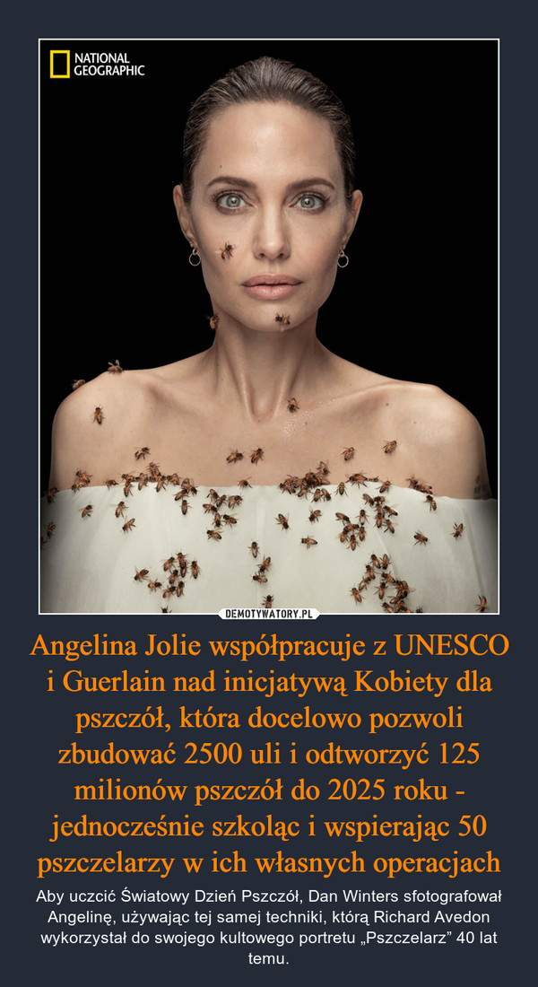 Angelina Jolie współpracuje z UNESCO i Guerlain nad inicjatywą Kobiety dla pszczół, która docelowo pozwoli zbudować 2500 uli i odtworzyć 125 milionów pszczół do 2025 roku - jednocześnie szkoląc i wspierając 50 pszczelarzy w ich własnych operacjach