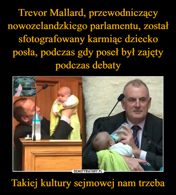 Trevor Mallard, przewodniczący nowozelandzkiego parlamentu, został sfotografowany karmiąc dziecko posła, podczas gdy poseł był zajęty podczas debaty Takiej kultury sejmowej nam trzeba