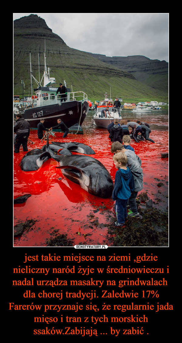 jest takie miejsce na ziemi ,gdzie nieliczny naród żyje w średniowieczu i nadal urządza masakry na grindwalach  dla chorej tradycji. Zaledwie 17% Farerów przyznaje się, że regularnie jada mięso i tran z tych morskich ssaków.Zabijają ... by zabić . –  