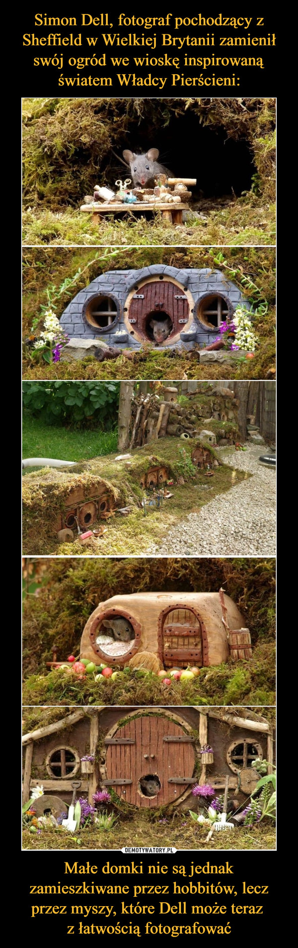 Simon Dell, fotograf pochodzący z Sheffield w Wielkiej Brytanii zamienił swój ogród we wioskę inspirowaną światem Władcy Pierścieni: Małe domki nie są jednak zamieszkiwane przez hobbitów, lecz przez myszy, które Dell może teraz 
z łatwością fotografować