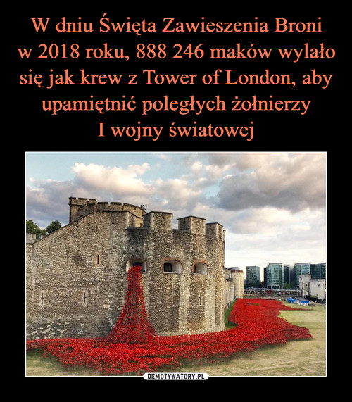 W dniu Święta Zawieszenia Broni
w 2018 roku, 888 246 maków wylało się jak krew z Tower of London, aby upamiętnić poległych żołnierzy
I wojny światowej