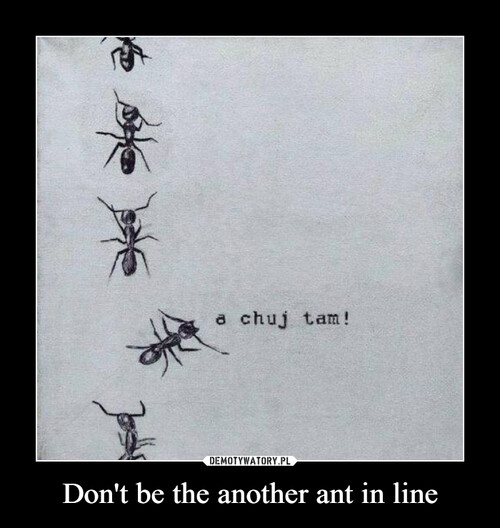 Don't be the another ant in line