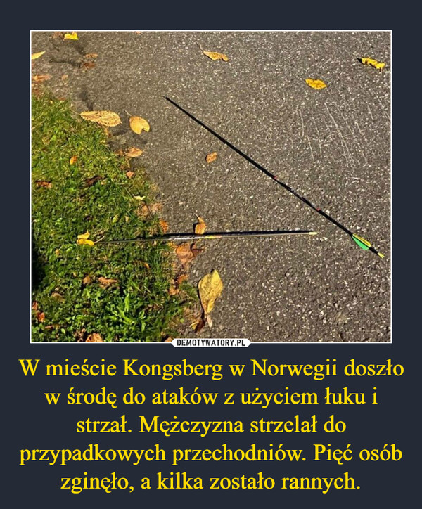 W mieście Kongsberg w Norwegii doszło w środę do ataków z użyciem łuku i strzał. Mężczyzna strzelał do przypadkowych przechodniów. Pięć osób zginęło, a kilka zostało rannych.