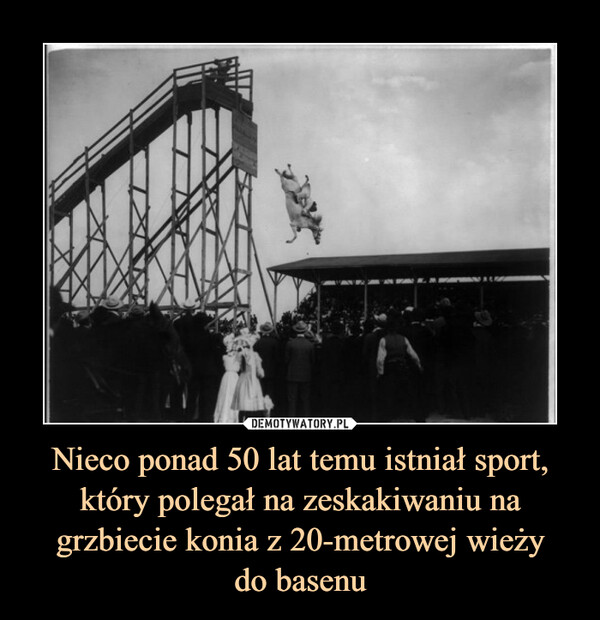 Nieco ponad 50 lat temu istniał sport, który polegał na zeskakiwaniu na grzbiecie konia z 20-metrowej wieżydo basenu –  