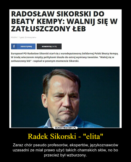 Radek Sikorski - "elita"